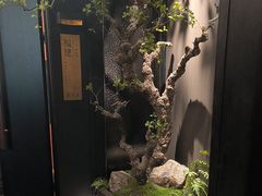 -苏淮景·苏闽融创菜·海鲜(原空港井河轩店)