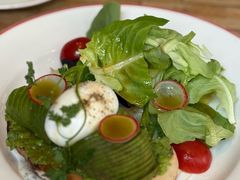 -Elephant Grounds(STARSTREET)