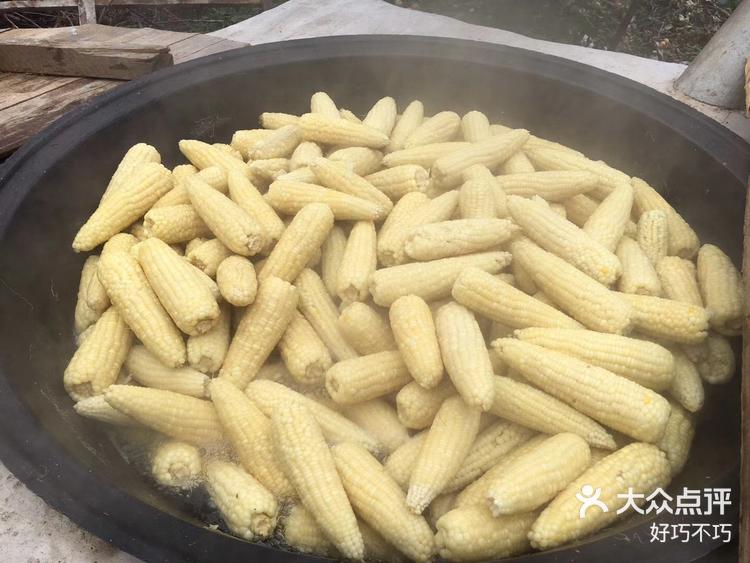 高山特级粘玉米,看起来矮胖,吃起来粘糯,好棒! 星期五樱