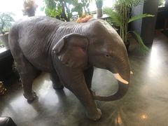 -LYFATTI 莱芙缇(赣水路店)