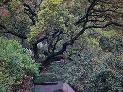 -宁波市保国寺古建筑博物馆