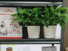 -瑞鹏宠物医院·微创内窥镜·骨外科·牙科(翠竹分院)