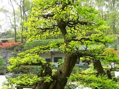-南山植物园