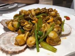 辣炒小扇贝-双井轩(双井店)