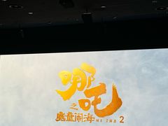 -武商摩尔影城(国广IMAX激光店)