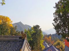 -潭柘寺景区