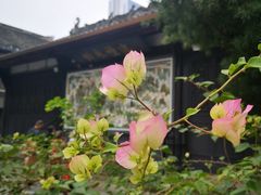 -古大圣慈寺