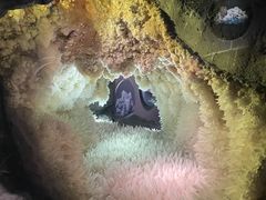 -湖南省地质博物馆