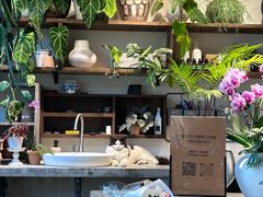 -自由生长植物工作室(深港花卉中心店)