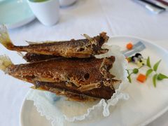 -930私房菜(欧阳路店)