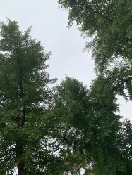 -HEYAN长风荷妍专业脱毛美肤
