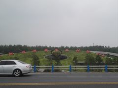 -合肥滨湖国家森林公园