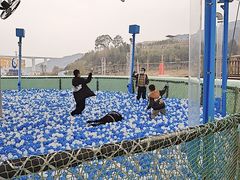 -瓷天下海丝谷