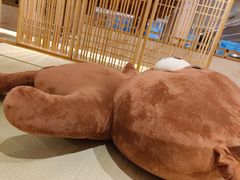-嘉悦汗蒸时代(曙光路店)