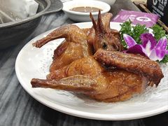-鸽鸟轩(石岐店)