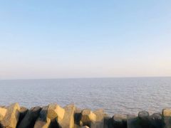 景点-南汇嘴观海公园