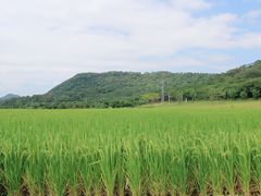 -艾米稻香小镇