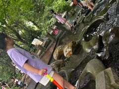 -成都市活水公园