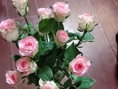 -川香煲(茅台路店)