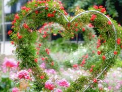 -人民公园(罗湖区)