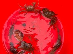 -东戴河风景区-止锚湾