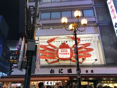-蟹道乐(道顿堀本店)