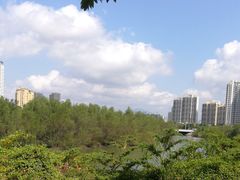 -金鸡岭桥头公园