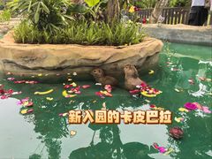 -海南热带野生动植物园