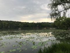 -承德避暑山庄景区