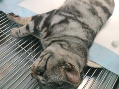 -狗舍宠物医院(四季商业广场店)