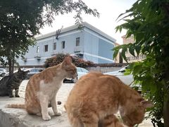 -太二酸菜鱼(石家庄万象城店)