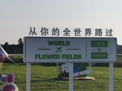 -空港花田景区