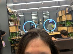 -藤野造型