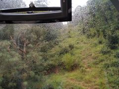 -苍山感通索道