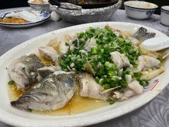 香葱淋鲈鱼-粤·向群饭店(龙津东路总店)