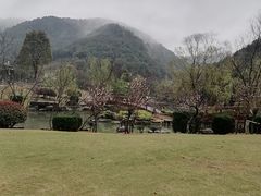 -桃花岭景区