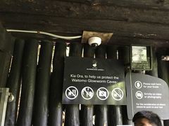 -怀托摩萤火虫洞