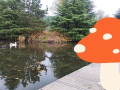 -白马涧龙池景区