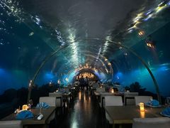 -涛·海底餐厅·美人鱼·自助餐·海底隧道(三亚海棠湾洲际度假酒店)