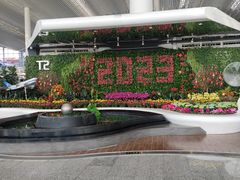 -广州白云国际机场-T2航站楼