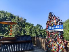 -西双版纳原始森林公园