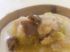 -常胜鲍鱼(吉大店)