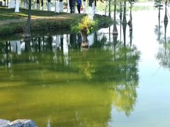 -松山湖南湖湾露营营地