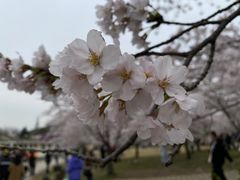 -苏州上方山国家森林公园