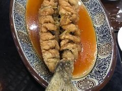 松子鱼-百丈园龙江啫神馆