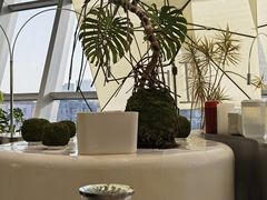 -枕水江南(铁西万象汇店)