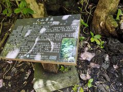 -海口火山口国家地质公园