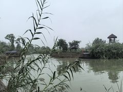 -泗洪洪泽湖湿地景区