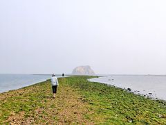 -兴旺渔家