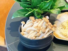 -新草堂锅物料理(泉城路店)